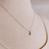 Limited Edition | Paw Necklace